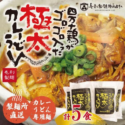 四万十鶏がゴロゴロ入った極太カレーうどん5食入り 26-185