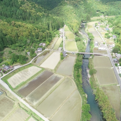 【令和7年産 数量限定】四万十の山間地域で育てた大宮米(コシヒカリ)10kg 26