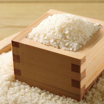 【令和7年産・数量限定】四万十の山間地域で育てた大宮米(ヒノヒカリ)10kg 26
