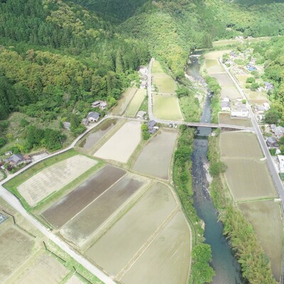 【令和7年産・数量限定】四万十の山間地域で育てた大宮米(ヒノヒカリ)10kg 26