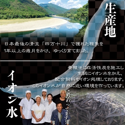 四万十川優化イオンうなぎ　蒲焼2尾入り(ボイル肝、たれ付き) 26-006