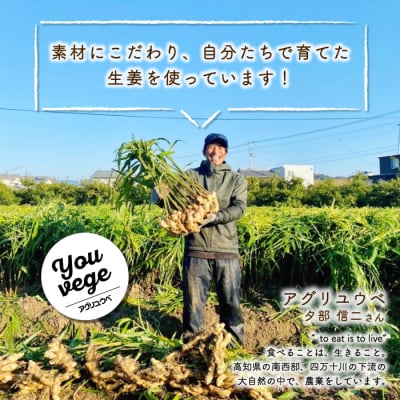 生姜好きさんにオススメ!濃厚・しょうがシロップ5本セット【あまくち】25-963