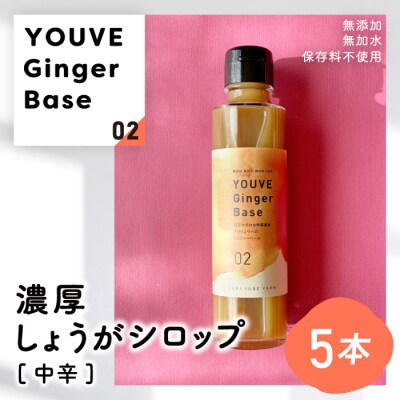 生姜好きさんにオススメ!濃厚・しょうがシロップ5本セット【中辛】25-964