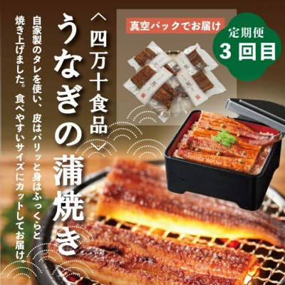 【4ヵ月連続定期便】四万十市人気魚介&お肉返礼品 第2弾 7
