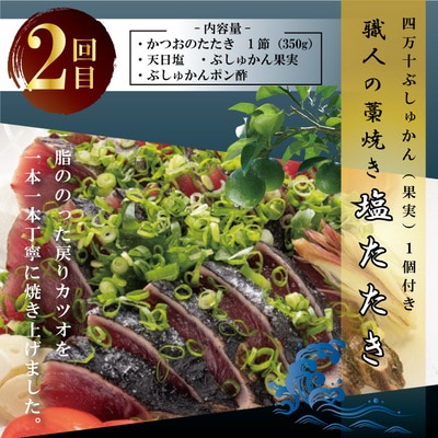 【3回定期便】四万十自慢のカツオの塩タタキ食べ比べ! R8-500