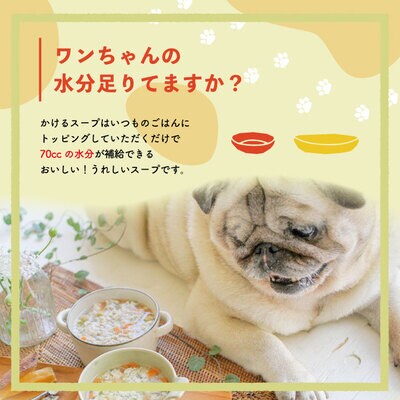 【12回定期便】四万十鶏とゴロゴロ根野菜スープ 12袋セット×12回(合計144袋)ペットフード26