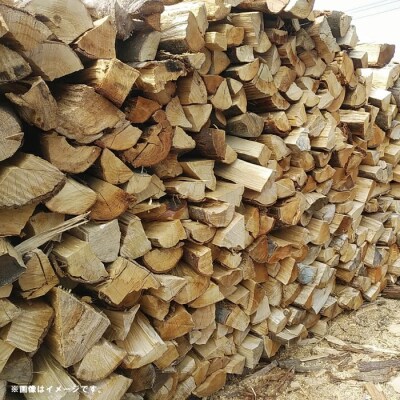 【数量限定】四万十のストーブ薪ミックス・未乾燥(主にシイ)約25kg【随時配送】25-898