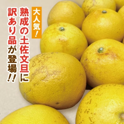 【訳あり・数量限定】熟成の土佐文旦5kg【家庭用】【2026年3月上旬～無くなり次第終了】