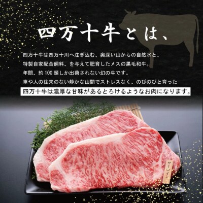 【牧場直送】四万十牛 ヘルシーな赤身スライス500g26