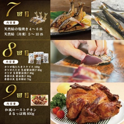 【12回定期便】四万十の贅沢を詰め込んだ プレミアム定期便 2025-590
