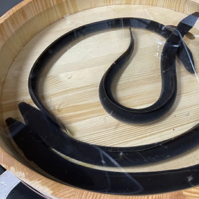 希少 四万十川産＜天然うなぎ＞蒲焼 1尾(約200g)R7