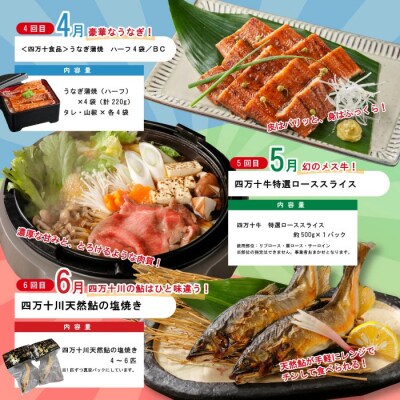 【年末限定12回定期便】人気グルメお楽しみ しまんとふるさと定期便20万円コース 2025-616