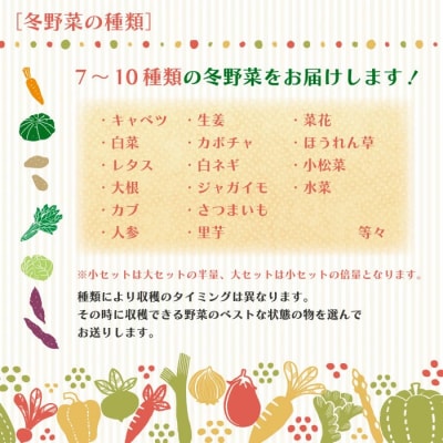 【3回定期便・早期・数量限定】アグリユウベの冬野菜セット(小)【配送:R8年12月・R9年1月2月】