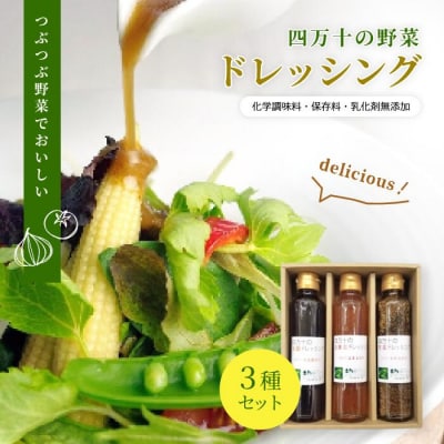 つぶつぶ野菜でおいしい四万十の野菜ドレッシング 3種 セット