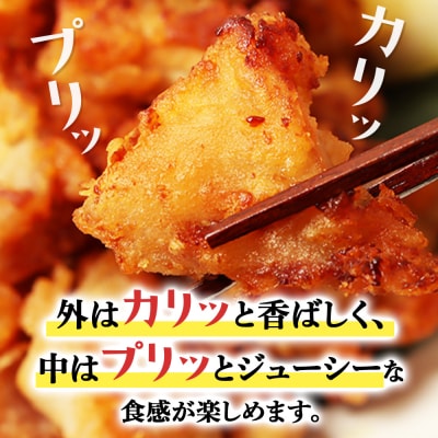 プリプリ触感が自慢 たこザンギ 計1kg (タコの唐揚げ 250g×4)【05128】