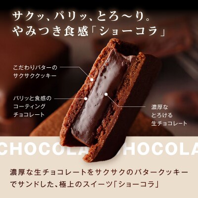 VANILLABEANS ショーコラ&パリトロ 24個入