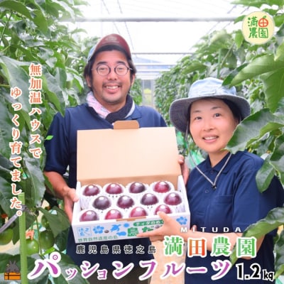 【今が旬!】満田農園さんのパッションフルーツ(約1.2kg)