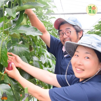 【今が旬!】満田農園さんのパッションフルーツ(約1.2kg)