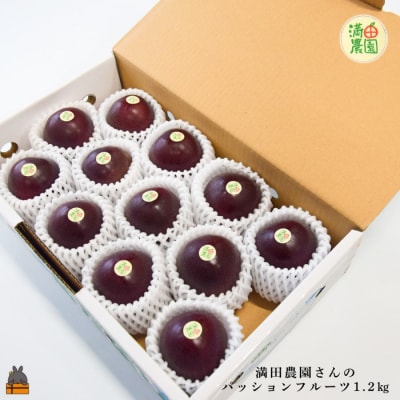 【今が旬!】満田農園さんのパッションフルーツ(約1.2kg)