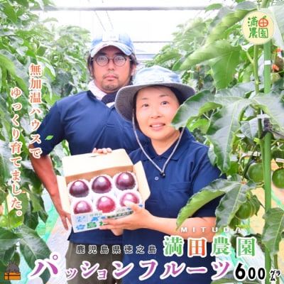 【今が旬!】満田農園さんのパッションフルーツ(約600g)