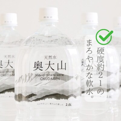 【定期便】天然水奥大山 2リットル6本入り×3回 3ヶ月連続発送 PET 0891