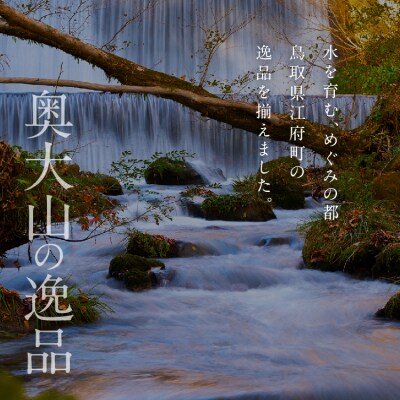 【定期便3回】天然水奥大山 500ml 1箱24本入り 3ヶ月連続発送 ミネラルウォーター