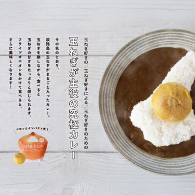 淡路島玉ねぎまるごとカレー10食セット