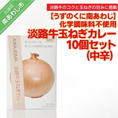 化学調味料不使用【淡路牛玉ねぎカレー(中辛)】10個セット