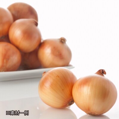 化学調味料不使用【淡路牛玉ねぎカレー(中辛)】10個セット