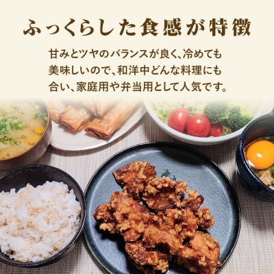 令和7年産 宮城県産天女ひとめぼれ 白米 5kg|21_trc-010501