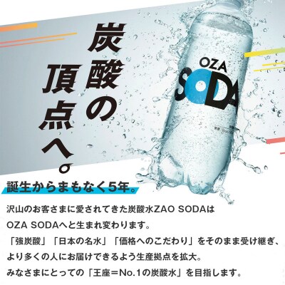 【定期便6回】OZA SODA 強炭酸水(プレーン) 500ml×48本×6か月 FZ24-232