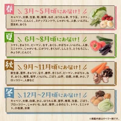 旬の農産物詰合せ 7品以上 おたのしみセット_065-2336-C