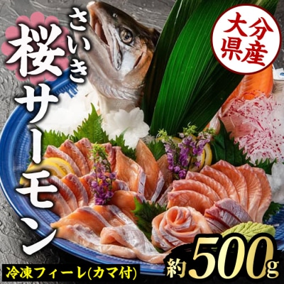 さいき 桜 サーモン フィーレ (1尾分・約500g) 