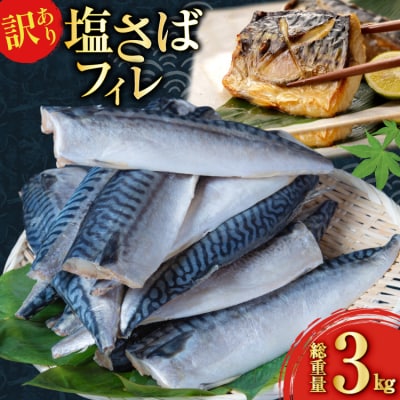 訳あり 減塩 塩サバ フィレ Sサイズ 総重量 3kg [足利本店 20565959]