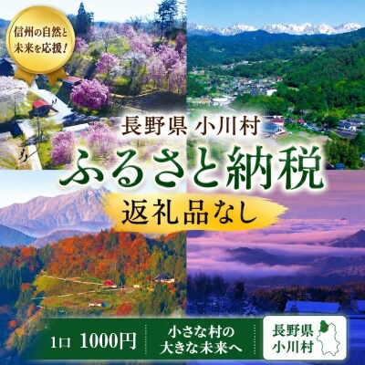 小川村ふるさと納税応援寄附金　返礼品なし*001