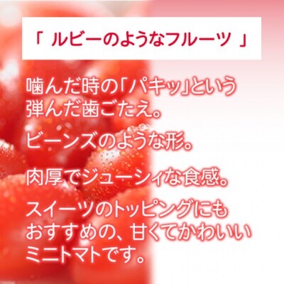 アメーラルビンズ 10パック入り