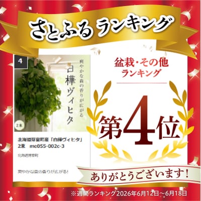 北海道芽室町産「白樺ヴィヒタ」2束　me055-002c-3