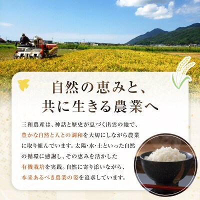 出雲のゆず入り食べる発酵生みそ250g×5個