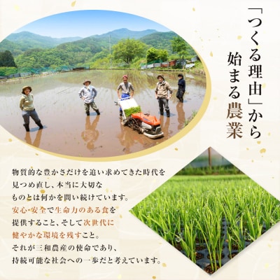 出雲の食べる発酵生みそ250g×5個