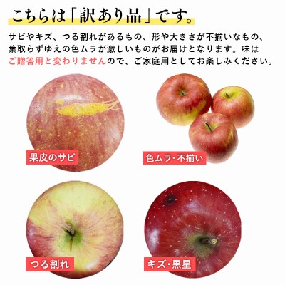 12月 訳あり 家庭用葉取らずサンふじりんご 約3kg【森山商店・青森県産・青森りんご・12月】