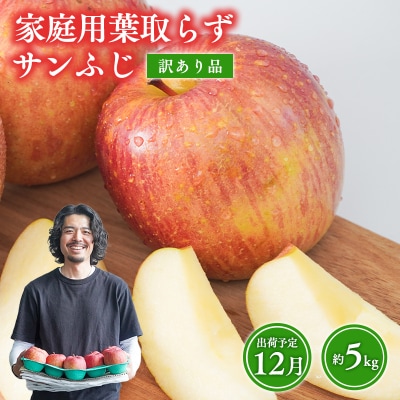 12月 訳あり 家庭用葉取らずサンふじりんご 約5kg【森山商店・青森県産・青森りんご・12月】