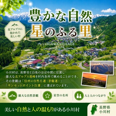 小川村ふるさと納税応援寄附金　返礼品なし*003