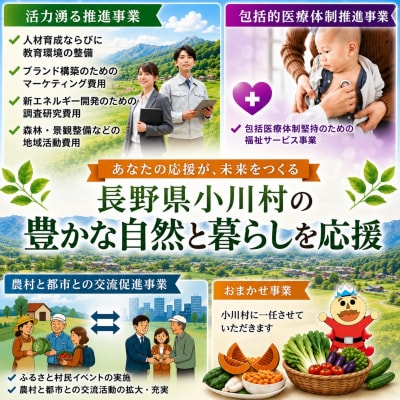 小川村ふるさと納税応援寄附金　返礼品なし*003