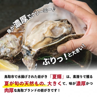 鳥取賀露港 天然岩がき「夏輝」セット 【かねまさ・浜下商店】