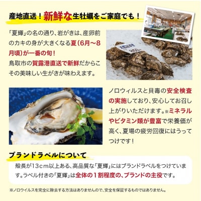 鳥取賀露港 天然岩がき「夏輝」セット 【かねまさ・浜下商店】