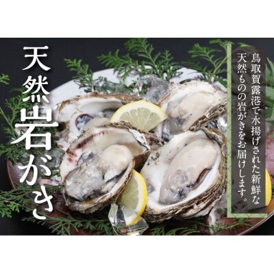 鳥取賀露港 天然白いか・天然岩がきセット 【かねまさ・浜下商店】