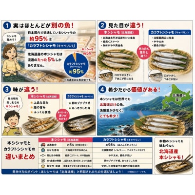 【期間限定価格・数量限定】岡嶋水産　生乾ししゃも中メス30尾(C0041)