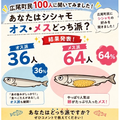 【期間限定価格・数量限定】岡嶋水産　生乾ししゃも中メス30尾(C0041)