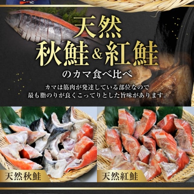 【釧路加工】マルア阿部商店 天然鮭 氷塩熟成「カマ」食べ比べセット 