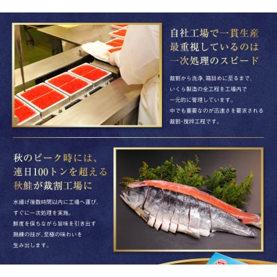 マルア阿部商店特選 塩いくら 200g